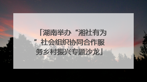 湖南举办“湘社有为”社会组织协同合作服务乡村振兴专题沙龙